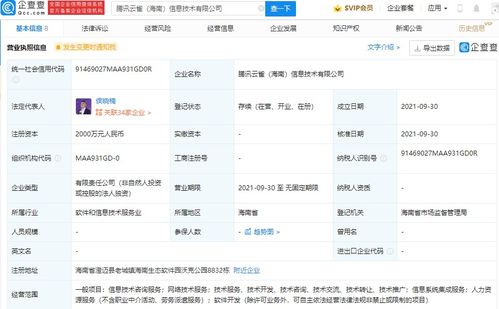 信息系統集成服務 構建高效與智能的未來